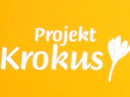 krokus2 (1)