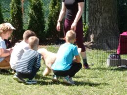 IMG_20220601_105221