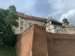 IMG_9796