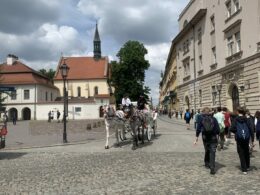 IMG_9797