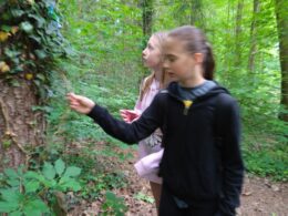 IMG_20240515_084143_1