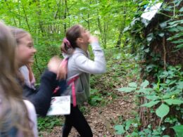 IMG_20240515_084204_1