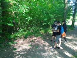 IMG_20240516_090609