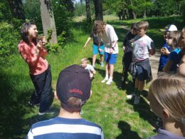 IMG_20240516_110306_1
