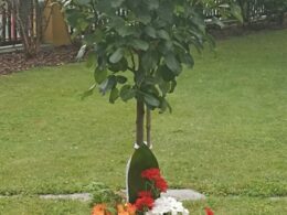 IMG_20240611_081232