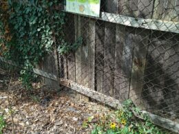 IMG_20240823_110858_1