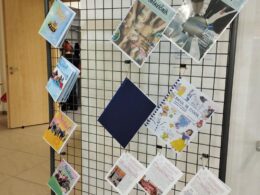 IMG_20240923_094212