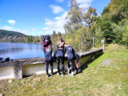 IMG-20241005-WA0112