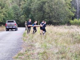 IMG-20241005-WA0124