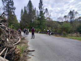 IMG-20241005-WA0125
