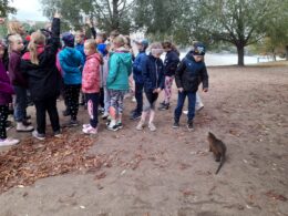 IMG-20241005-WA0181