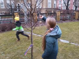 IMG-20250123-WA0006