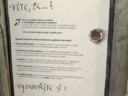 IMG-20250306-WA0020