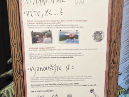IMG-20250306-WA0022
