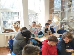 IMG_20250320_113345