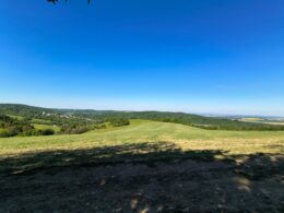 IMG-20250502-WA0011
