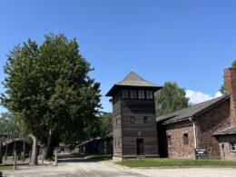 IMG_6143 2